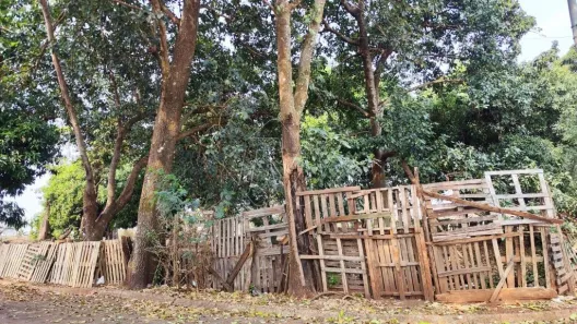 Lote/Terreno à venda, 157m² no Parque São Paulo (Vila Xavier), Araraquara