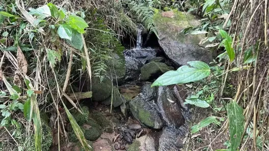 Fazenda/Sítio à venda, 4000m² no , Cambuí
