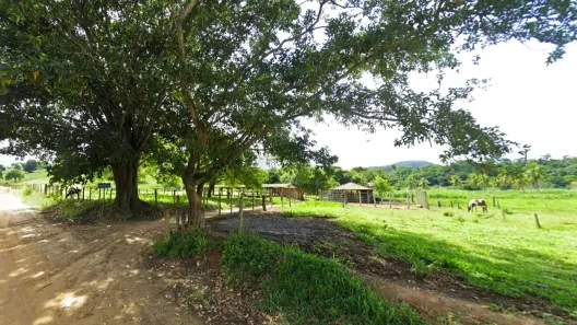 Fazenda/Sítio à venda, 195132m² no , Mutum