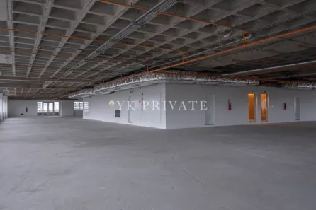 Galpão/Depósito/Armazém para alugar, 555m² no Várzea da Barra Funda, São Paulo