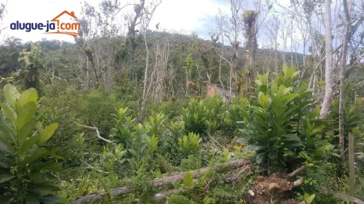 Lote/Terreno à venda, 360m² no Praia do Itamambuca, Ubatuba