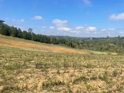 Lote/Terreno à venda, 500m² no Nhambuca ( Caucaia do Alto), Cotia