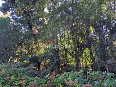 Lote/Terreno à venda, 600m² no Centro, São Francisco de Paula