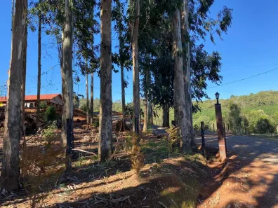 Fazenda/Sítio com 1 Quarto à venda, 15000m² no Bairro Padre Eterno Alto, Santa Maria do Herval