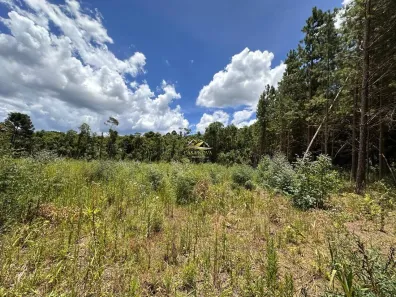 Fazenda/Sítio com 1 Quarto à venda, 34550m² no Mato Dentro, Almirante Tamandaré