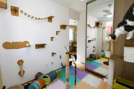 Apartamento com 2 Quartos à venda, 49m² no Palmeiras, Belo Horizonte