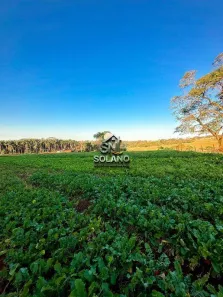 Fazenda/Sítio com 3 Quartos à venda, 16185m² no Chácaras Helou, Goiânia