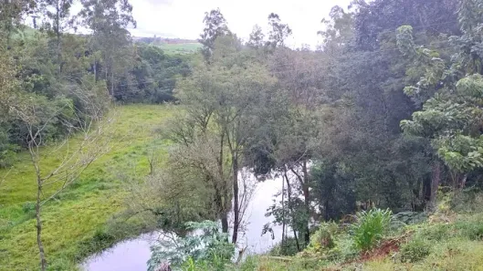 Fazenda/Sítio à venda, 24200m² no Centro, Mandaguari