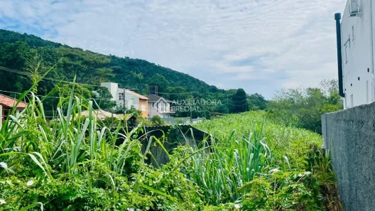 Lote/Terreno à venda, 5947m² no Campeche, Florianópolis