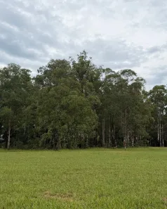 Lote/Terreno à venda, 650m² no Thermas de Santa Bárbara, Águas de Santa Bárbara