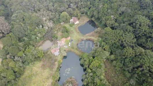 Fazenda/Sítio à venda, 69216m² no Campo Largo da Roseira, São José dos Pinhais