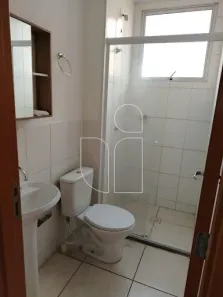 Apartamento com 2 Quartos para alugar, 40m² no Jardim Califórnia, Marília