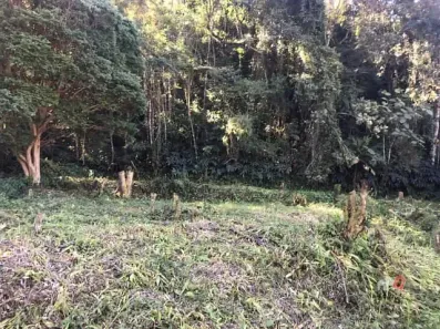 Lote/Terreno à venda, 1m² no Independência, Petrópolis