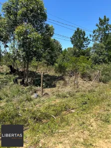 Lote/Terreno à venda, 616m² no Lageado, Porto Alegre