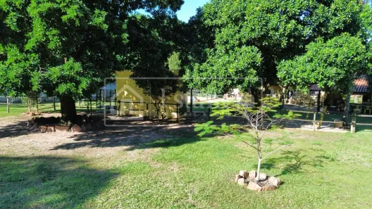 Fazenda/Sítio com 5 Quartos à venda, 199m² no Campos Elíseos, Brotas