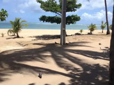 Lote/Terreno à venda, 812m² no Centro, Jaboatão dos Guararapes