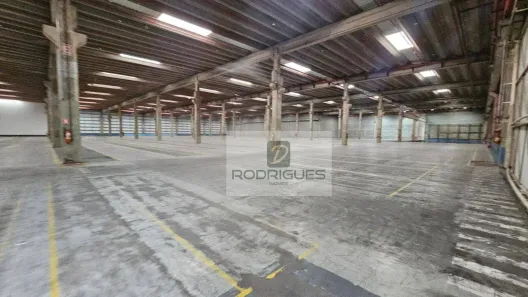 Galpão/Depósito/Armazém para alugar, 10000m² no Cooperativa, São Bernardo do Campo