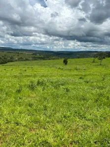 Fazenda/Sítio à venda, 9700000m² no Centro, Mineiros