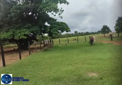 Fazenda/Sítio com 4 Quartos à venda, 81m² no Setor Central, Santa Fé de Goiás