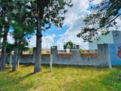 Ponto Comercial à venda, 1000m² no Laranjal, Pelotas