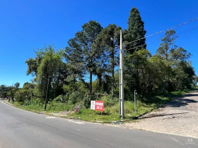 Lote/Terreno à venda, 3332m² no Boa Vista, Criciúma
