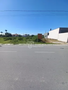 Lote/Terreno à venda, 250m² no Pachecos, Palhoça