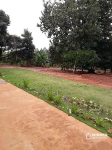 Fazenda/Sítio à venda, 1000m² no Zona Rural, Terra Boa