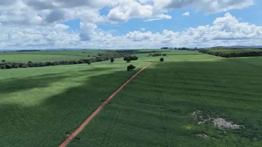 Fazenda/Sítio com 5 Quartos à venda, 9m² no , Pontalina