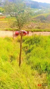 Lote/Terreno à venda, 250m² no Embu Mirim, Itapecerica da Serra