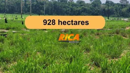 Fazenda/Sítio à venda, 9280000m² no Triunfo, Candeias do Jamari