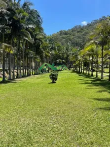 Fazenda/Sítio com 8 Quartos à venda, 400m² no São José do Ribeirão, Bom Jardim