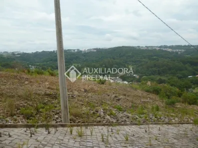 Lote/Terreno à venda, 316m² no São Cristóvão, Caxias do Sul