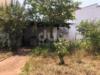 Casa com 3 Quartos à venda, 141m² no Jardim Proença, Campinas
