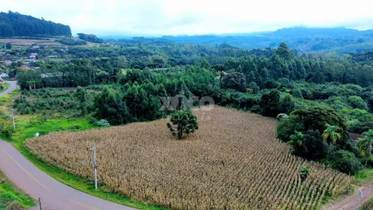 Lote/Terreno à venda, 5000m² no , Nova Petrópolis