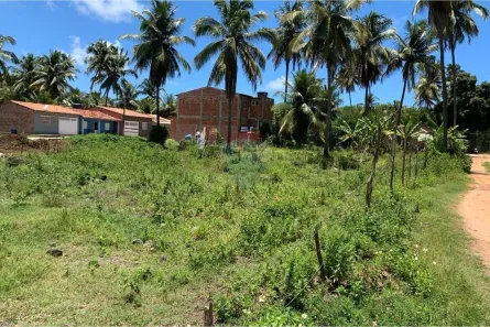 Lote/Terreno à venda, 266m² no Tatuamunha, Porto de Pedras