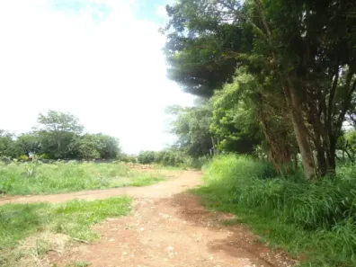 Ponto Comercial para alugar, 1500m² no Jardim Buriti Sereno, Aparecida de Goiânia