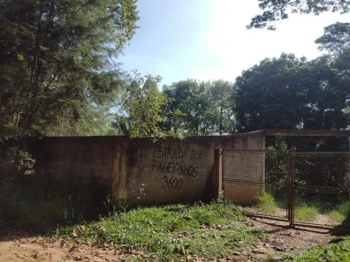 Fazenda/Sítio com 6 Quartos à venda, 220m² no Pau Arcado, Campo Limpo Paulista