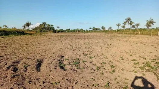 Fazenda/Sítio com 1 Quarto à venda, 70m² no , Candeias do Jamari