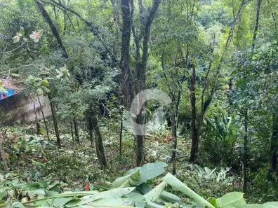 Lote/Terreno à venda, 444m² no Sapê, Niterói