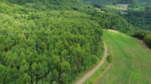 Lote/Terreno à venda, 38420m² no Dos Boêmios, Nova Petrópolis