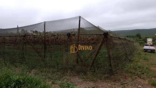 Fazenda/Sítio à venda, 82280m² no Vila Sao Joao, São Miguel Arcanjo