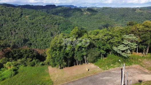 Lote/Terreno à venda, 429m² no Nova Petrópolis, Nova Petrópolis