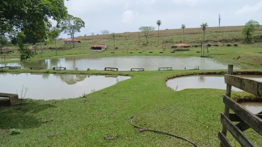 Fazenda/Sítio com 7 Quartos à venda, 700000m² no Área Rural de Mirassol, Mirassol