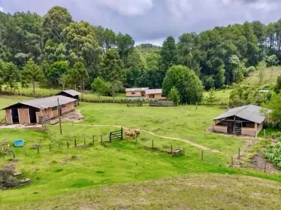 Fazenda/Sítio com 4 Quartos à venda, 2000000m² no , Delfim Moreira
