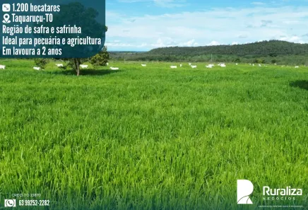 Fazenda/Sítio à venda, 1200m² no Taquarussu, Palmas