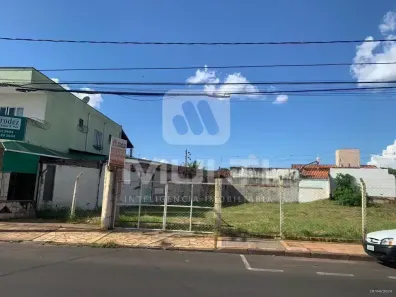 Lote/Terreno com 1 Quarto para alugar, 650m² no Vigilato Pereira, Uberlândia