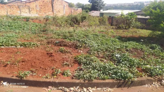 Lote/Terreno à venda, 250m² no Brasília, Londrina