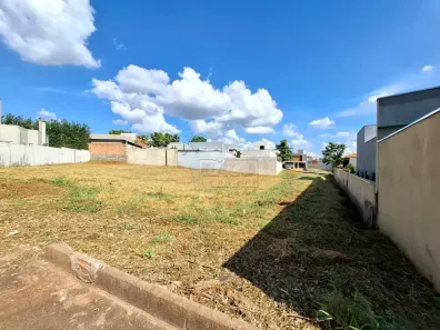 Lote/Terreno à venda, 551m² no Jardim Santa Cecília, Ribeirão Preto