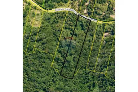 Lote/Terreno à venda, 7635m² no Ponta das Canas, Ilhabela