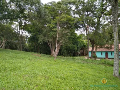 Lote/Terreno à venda, 5000m² no Chácara Santa Lúcia, Carapicuíba